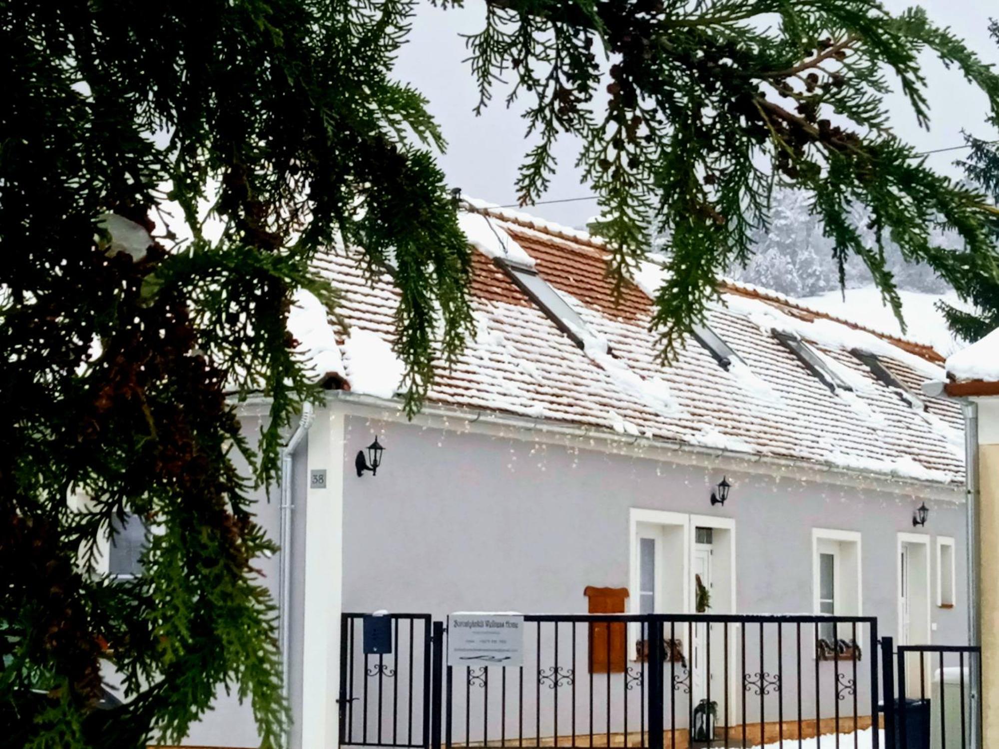 Borostyankut Wellness Home Bakonybél Exterior foto